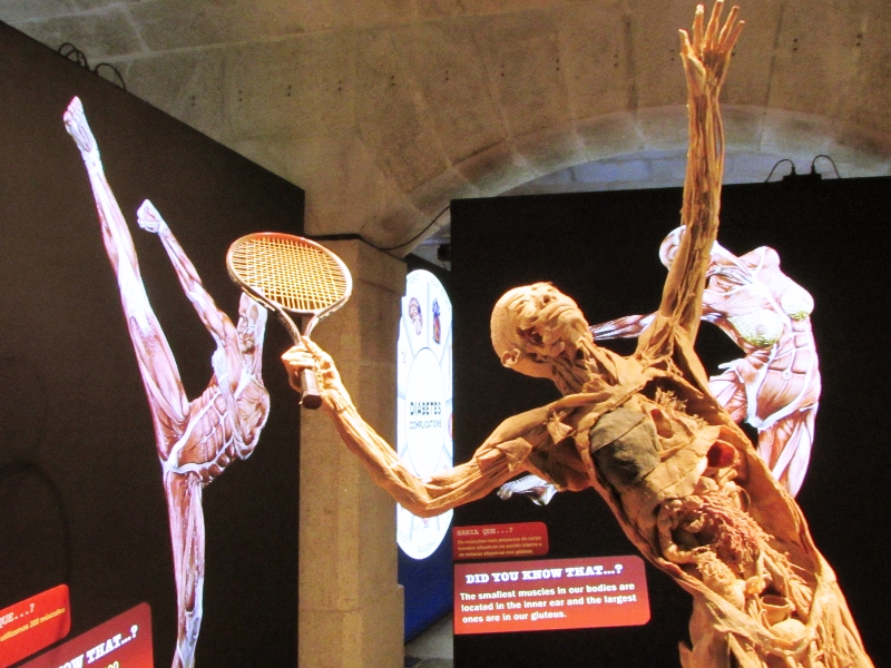 Visita de Estudo ao Museu da Farmácia e Exposição do Corpo Humano.